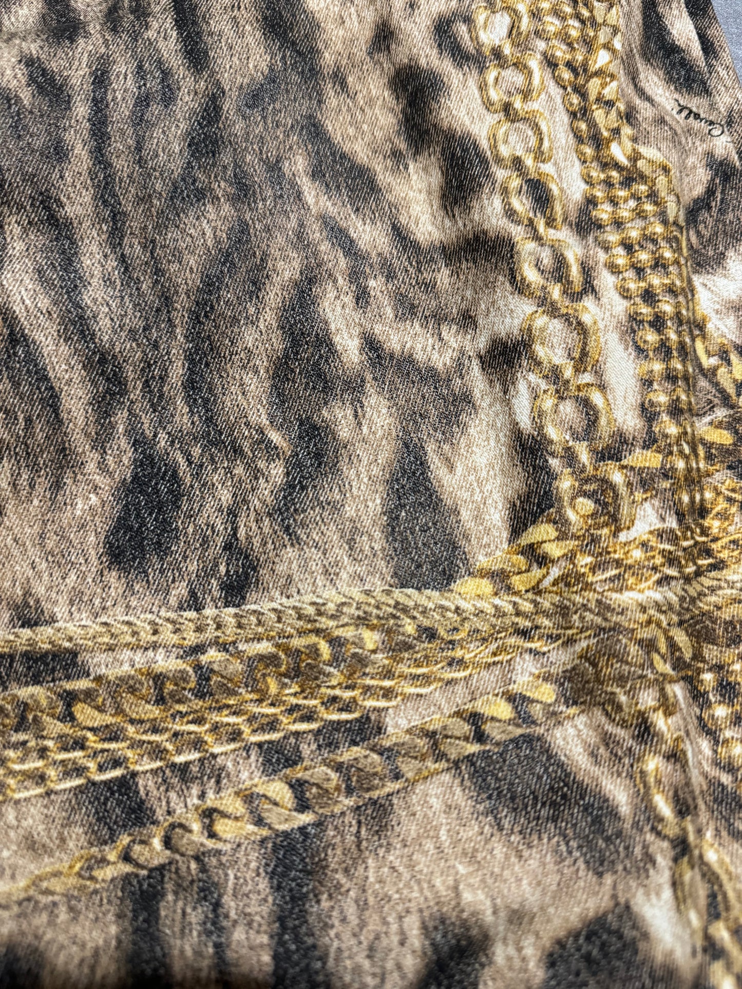 FW2003 Roberto Cavalli Gold Legacy Leopard Pants  (M) - 9