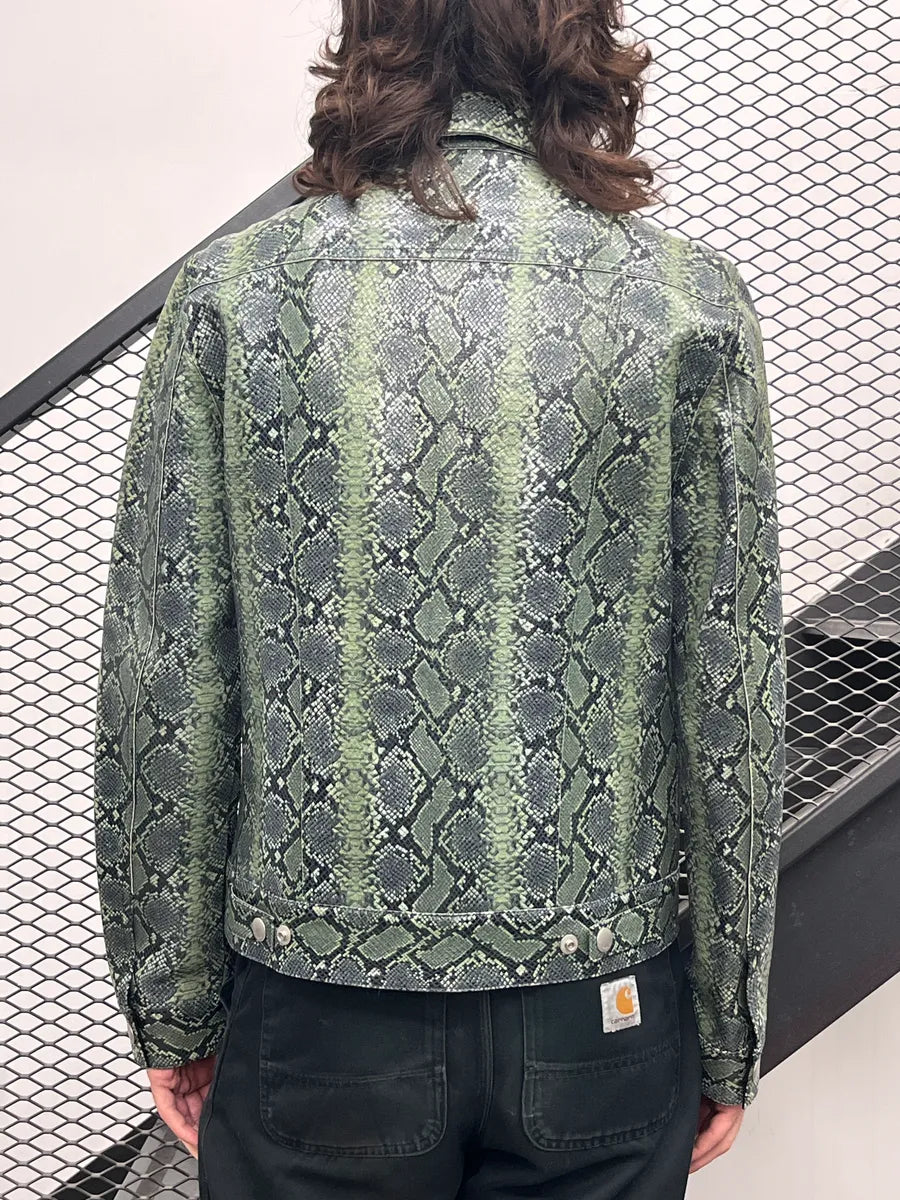 Givenchy Green Leather Python Embossed Trucker Leather Jacket zuxbrpmD 2