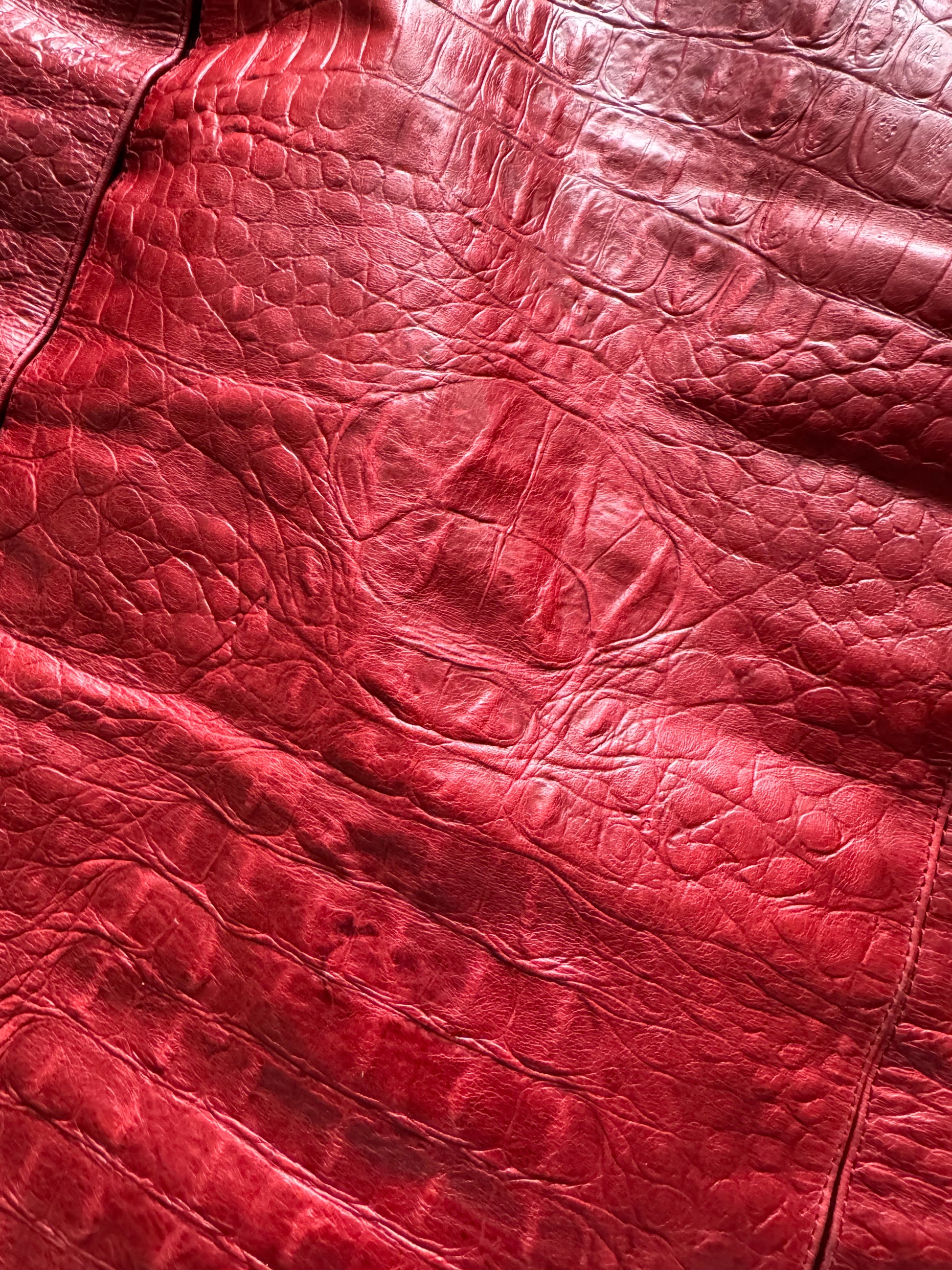 FW2000 Roberto Cavalli Crocodile Leather Red Skirt (S) - 6